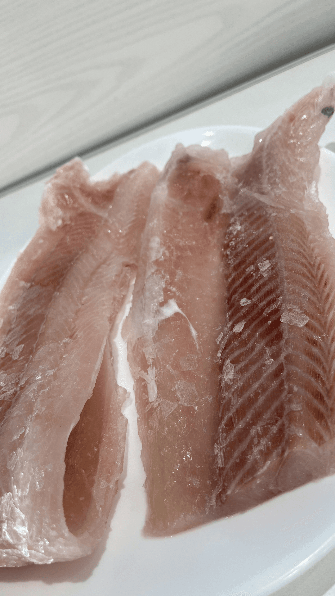 Gatuzo — Pescadería Concordia